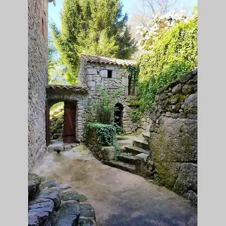 Framboisier Au Chateau Des Pauses Saint-André-de-Majencoules